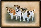 Platzdeckchen Tischset Hundemotiv - Jack Russel - 23020 Gr. ca. 40 x 28cm