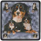 Untersetzer 2er-Set Hunde - Berner Sennenhund - 23518 Gr. ca. 10 x 10cm