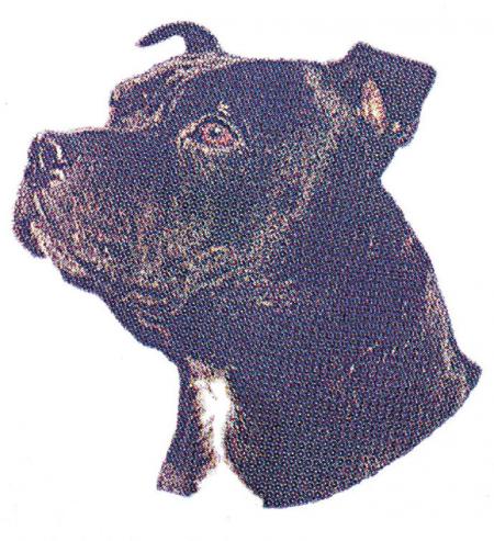 PVC-Aufkleber - Labrador - Gr. ca. 9 x 10 cm - 307076