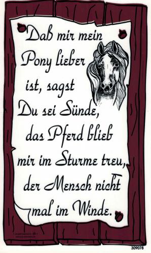 Schild mit Spruch - Dass mir mein Pony lieber ... - Gr. 25x15 cm - 309078 - Tiere Pferd