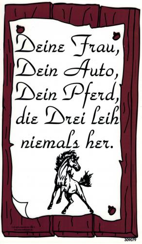 Schild - Deine Frau, Dein Auto ... - Gr. 25 x 15 cm - 309079