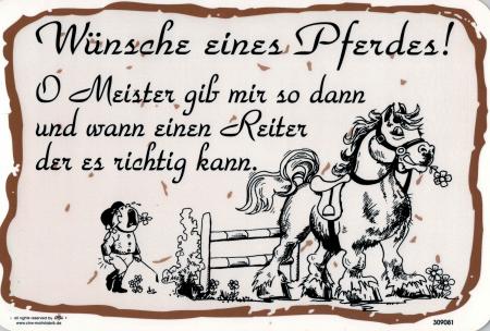 Schild - Wünsche eines Pferdes ... - Gr. 30 x 20 cm - 309081 - Tiere Pferd