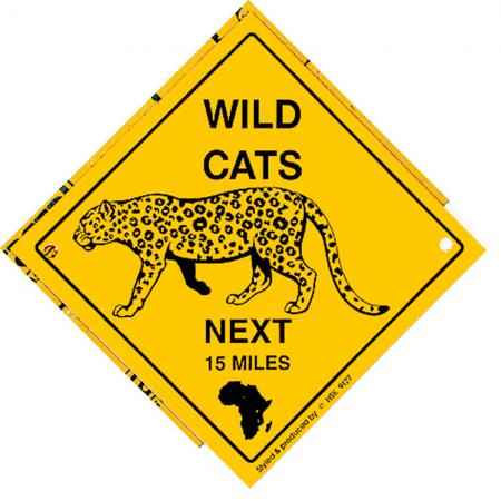 Schild mit Saugnäpfen - WILD CATS next 15 Miles - 309133 - Gr. ca. 15 x 15 cm
