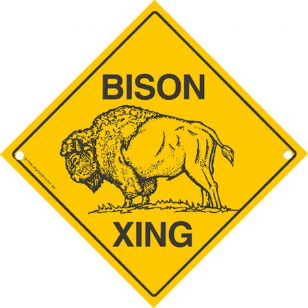 Schild mit Saugnäpfen - BISON XING - 309144 - Gr. ca. 15 x 15 cm
