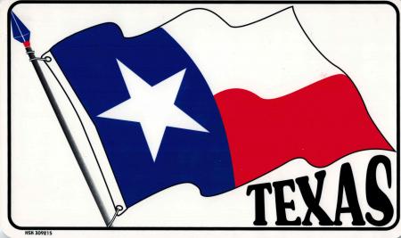 Schild - FLAGGE TEXAS - Gr. 25 x 15 cm - 309215