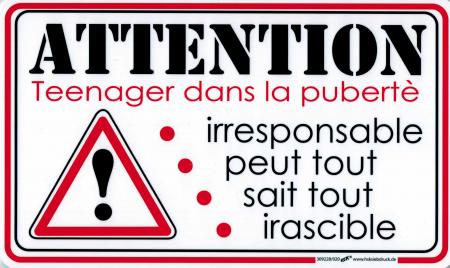 Schild - ATTENTION TEENAGER DANS LA PUBRERTE ... - Gr. 25 X 15 cm - 309228