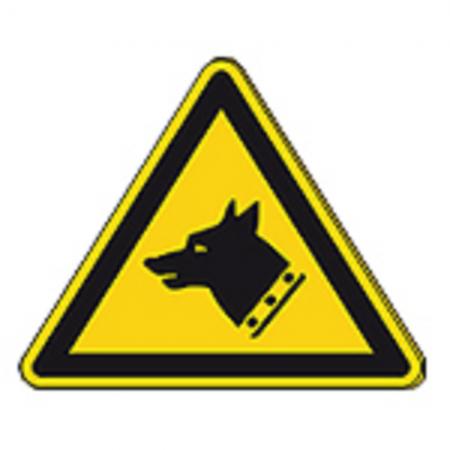Schild Warnzeichen nach ISO 7010 - Warnung vor dem Wachhund - 320293 Gr. ca. 19 x 16 cm