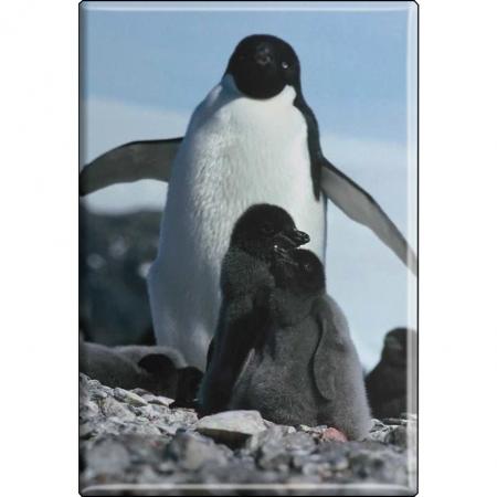 TIERMAGNET -  Vogel Pinguine - Gr. ca. 8 x 5,5 cm - 37227 - Küchenmagnet