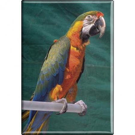 TIERMAGNET - Vogel Papageien - Gr. ca. 8 x 5,5 cm - 37242 -  Küchenmagnet