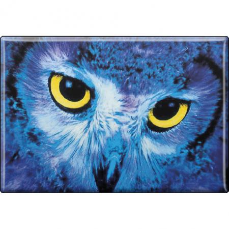 TIERMAGNET - Vogel Eulen - Gr. ca. 8 x 5,5 cm - 37252 - Küchenmagnet