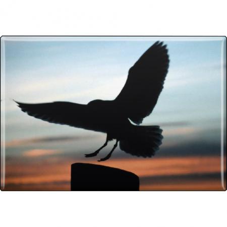 TIERMAGNET - Vogel - Gr. ca. 8 x 5,5 cm - 37258 - Küchenmagnet