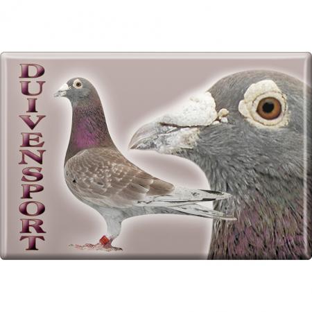 TIERMAGNET - Taubensport Duivensport - Gr. ca. 8 x 5,5 cm - 38206 -  Küchenmagnet