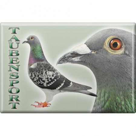 TIERMAGNET - Vogel Tauben Taubensport - Gr. ca. 8 x 5,5 cm - 38207 - Küchenmagnet