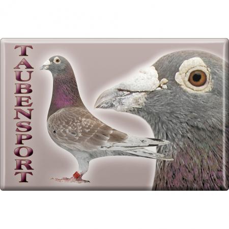 TIERMAGNET - Vogel Taubensport - Gr. ca. 8 x 5,5 cm - 38208 - Küchenmagnet