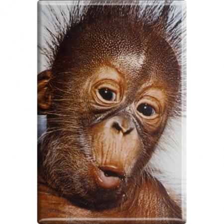 TIERMAGNET - Orang-Utan - Gr. ca. 8 x 5,5 cm - 38421 - Küchenmagnet