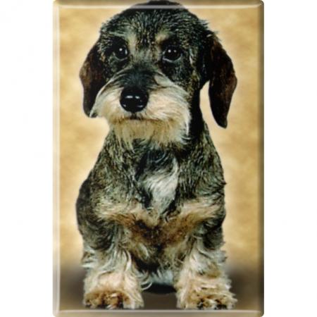 TIERMAGNET - Hunde Welpe - Gr. ca. 8 x 5,5 cm - 38425 - Küchenmagnet