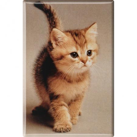 TIERMAGNET - Katze Kätzchen - Gr. ca. 8 x 5,5 cm - 38427 - Magnet
