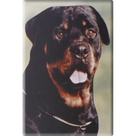 TIERMAGNET - Hund Rottweiler - Gr. ca. 8 x 5,5 cm - 38471 - Küchenmagnet
