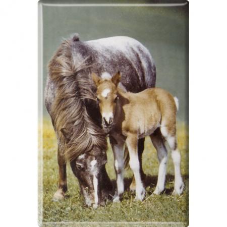 MAGNET - Pferd Fohlen - Gr. ca. 8 x 5,5 cm - 38482 - Küchenmagnet