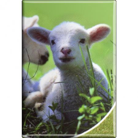 Kühlschrankmagnet - Schaf Lamm - Gr. ca. 8 x 5,5 cm  - 38533 - Magnet Küchenmagnet