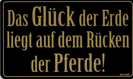 PST-Schild - GLÜCK DER ERDE - RÜCKEN DER PFERDE - 308628 - Gr. 25 x 15 cm