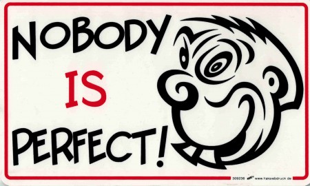 Sprüche-Schild - NOBODY IS PERFECT! - 309236 - 25cm x 15cm