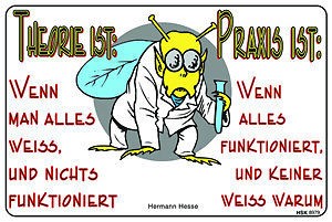 Schmunzelschild - Theorie und Praxis ist... - 308979 - Gr. 30 x 20 cm