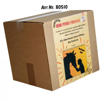 MYSTERY-BOX Überraschungsbox für Pferdefreunde - Neuware - 15 Artikel - 80510