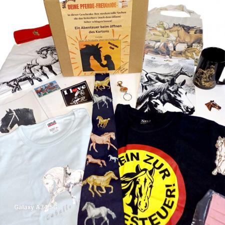 MYSTERY-BOX Überraschungsbox für Pferdefreunde - Neuware - 15 Artikel - 80510