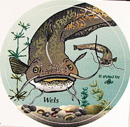 PVC Aufkleber Applikation - Fisch - Fische - Angeln - WELS - 307365 - Gr. ca. 8 cm
