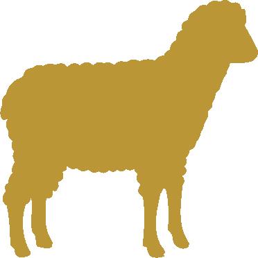 Aufkleber Applikation - Schaf - AP0437 - versch Farben zur Wahl