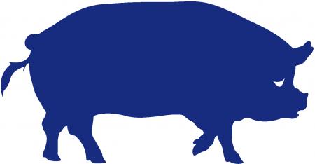 Aufkleber Applikation - Schwein - AP0439 - verschiedene Farben zur Wahl