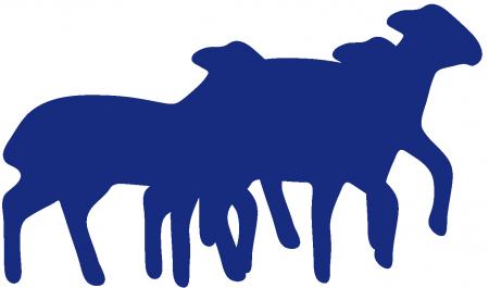 Aufkleber Applikation - Schaf - AP0485 - verschiedene Farben zur Wahl