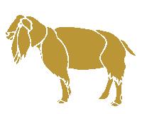 Aufkleber Applikation - Schaf - AP0488 - versch Farben zur Wahl