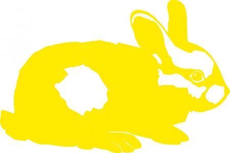 Aufkleber Applikation - Kaninchen - AP1233 - versch. Größen