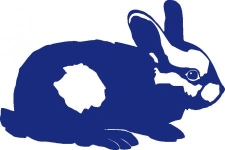 Aufkleber Applikation - Kaninchen - AP1233 - versch. Größen