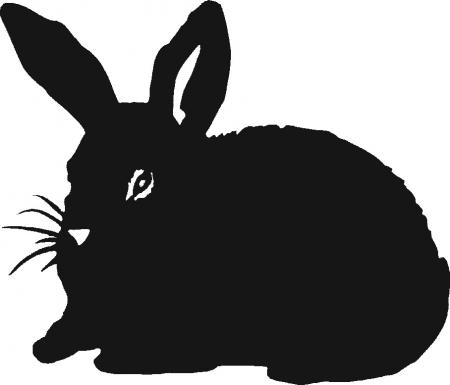 Aufkleber Applikation - Kaninchen - AP1234 - versch. Größen