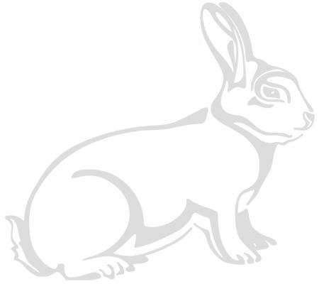 Aufkleber Applikation - Kaninchen - AP1241 - versch. Größen