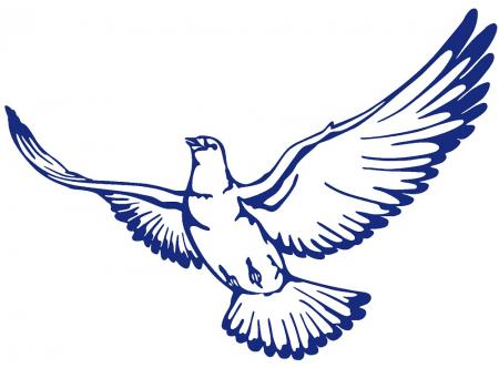 Aufkleber Applikation - Taube links fliegend - AP1402 versch. Farben und Größen wählbar