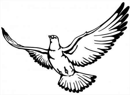 Aufkleber Applikation - Taube links fliegend - AP1402 versch. Farben und Größen wählbar
