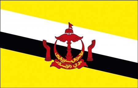 Stockländerfahne - Brunei - Gr. ca. 40 x 30 cm - 77031 - Schwenkflagge