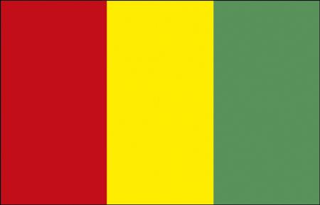 Autoscheiben-Flagge - Guinea - Gr. ca. 40x30cm - 78060 - Dekoflagge  Autoländerfahne