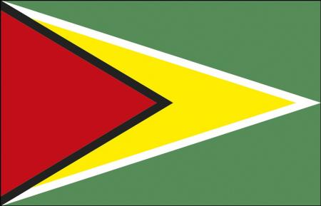 Stockländerfahne - Guyana - Gr. ca. 40x30cm - 77061 - Schwenkfahne Länder Flagge