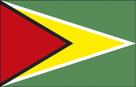 Stockländerfahne - Guyana - Gr. ca. 40x30cm - 77061 - Schwenkfahne Länder Flagge