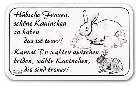 Hinweisschild - Türschild - Spaßschild - Hübsche Frauen..Hühner - Gr. 25x14cm - KN806/1