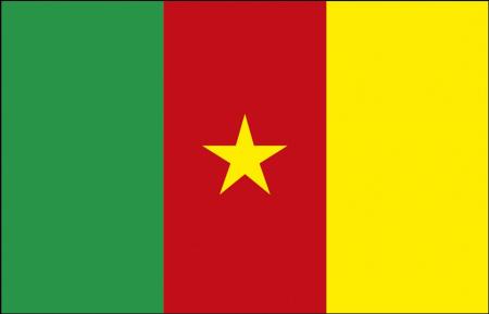 Flagge Stockländerfahne - Kamerun - Gr. ca. 40x30cm - 77076 - Schwenkfahne