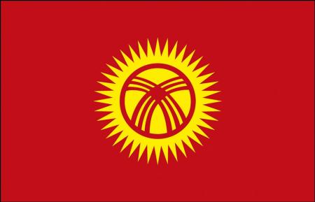 Flagge Stockländerfahne - Kirgisistan - Gr. ca. 40x30cm - 77082