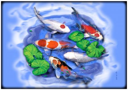 Platzdeckchen - Fisch Koi Koiteich - Gr. ca. 40cm x 28cm - KO266