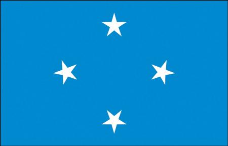 Schwenkflagge - Mikronesien - Gr. ca. 40x30cm - 77108 - Länderflagge Stockländerfahne