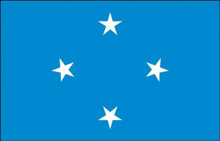 Schwenkflagge - Mikronesien - Gr. ca. 40x30cm - 77108 - Länderflagge Stockländerfahne